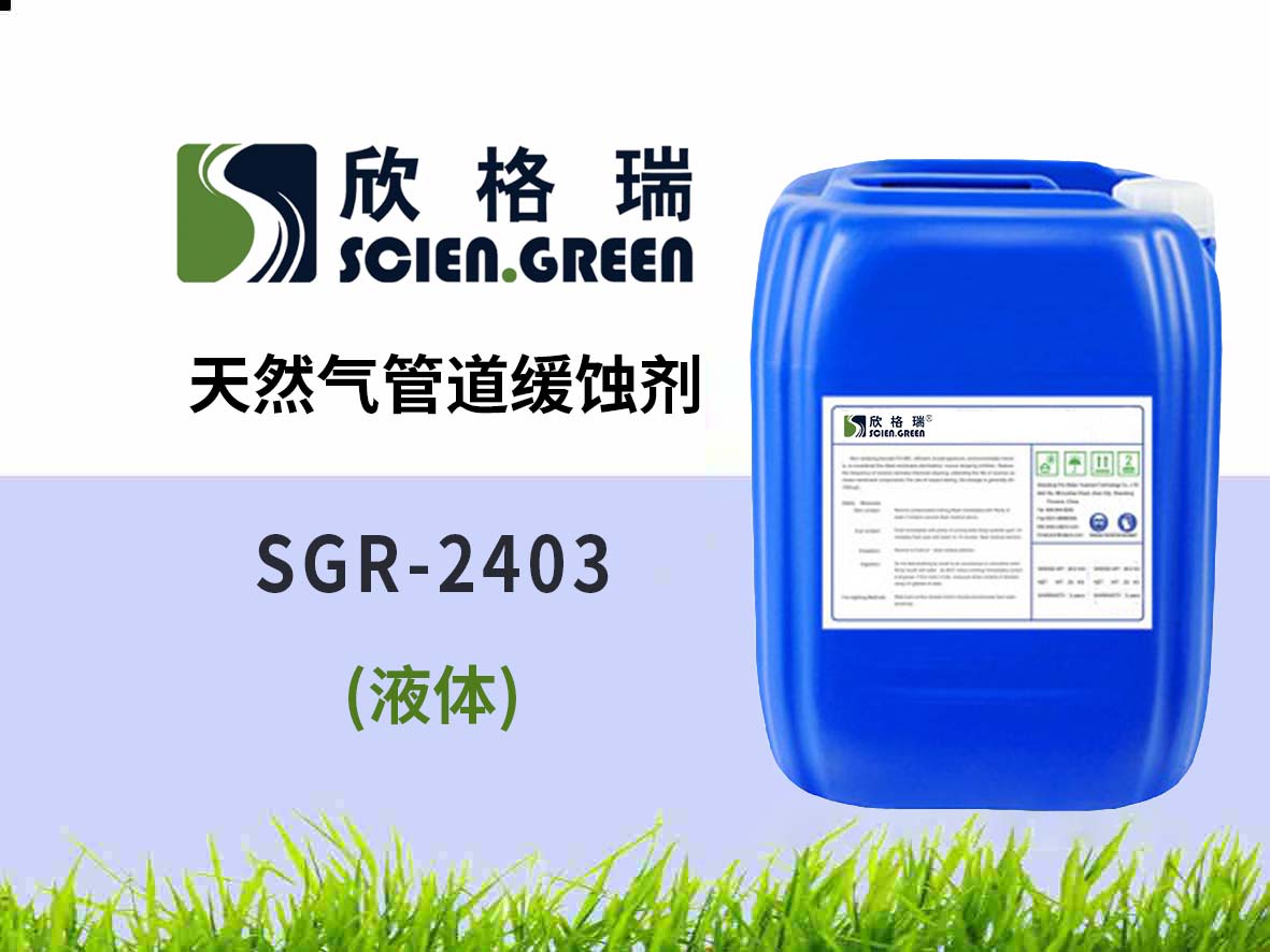 Ȼܵg SGR2403